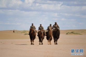 邊防民兵駝兵排民兵進行應用訓練