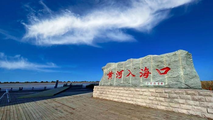 △黃河入?？谖挥谏綎|東營(yíng)市墾利區(qū)。(總臺(tái)央視記者彭漢明拍攝)