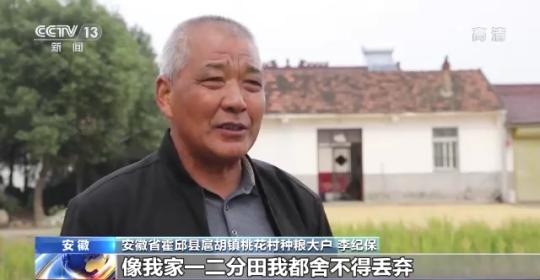 十八連豐！秋收近九成 我國(guó)糧食產(chǎn)能穩(wěn)步提升