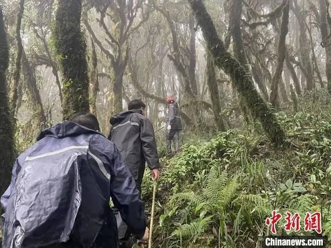 圖為救援現(xiàn)場。鎮(zhèn)沅縣委宣傳部提供