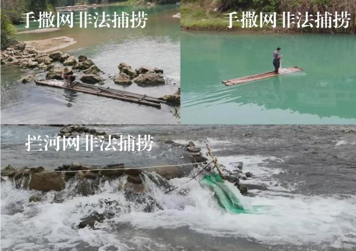 2021年9—10月，前期暗查發(fā)現(xiàn)，保護(hù)區(qū)核心區(qū)內(nèi)非法捕撈行為十分猖獗