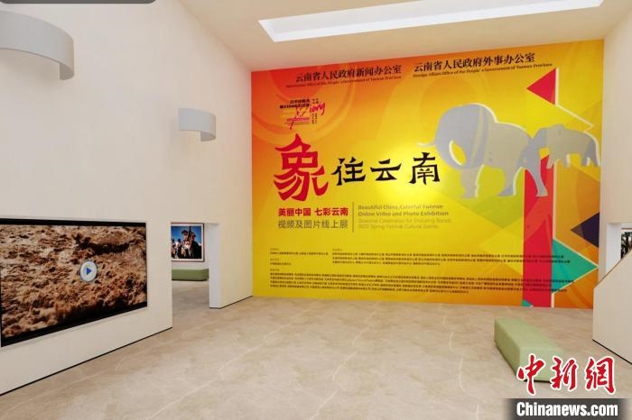 圖為“象”往云南——美麗中國(guó) 七彩云南視頻及圖片線上展截圖?！『h(yuǎn)航 攝