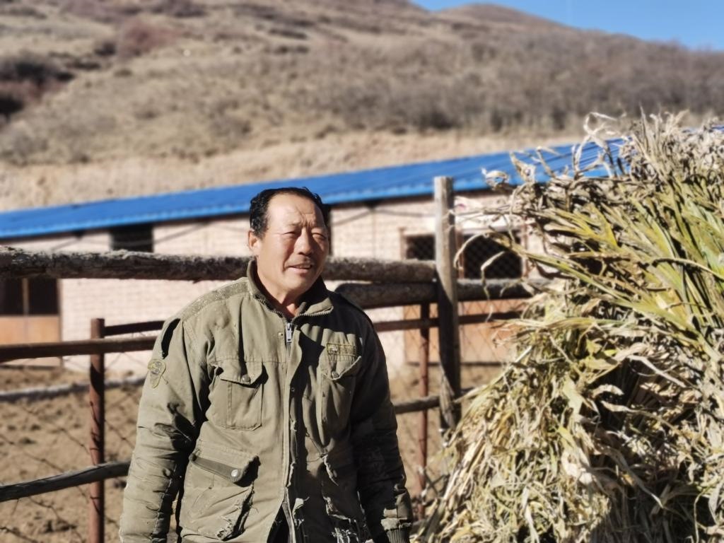1月19日，山西省岢嵐縣脫貧戶呂如堂在牛圈前準(zhǔn)備草料。新華社記者 梁曉飛 攝