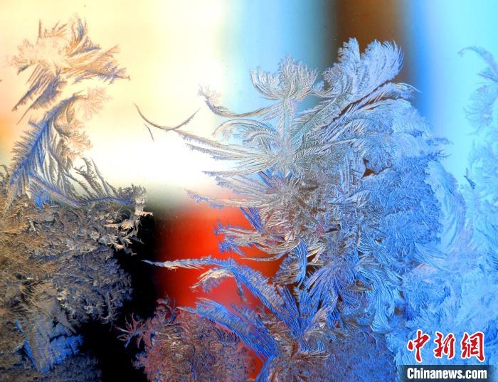 冰窗花千姿百態(tài)?！O書程 攝
