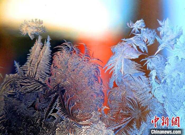 惟妙惟肖的冰窗花，似一幅風(fēng)景畫?！O書程 攝