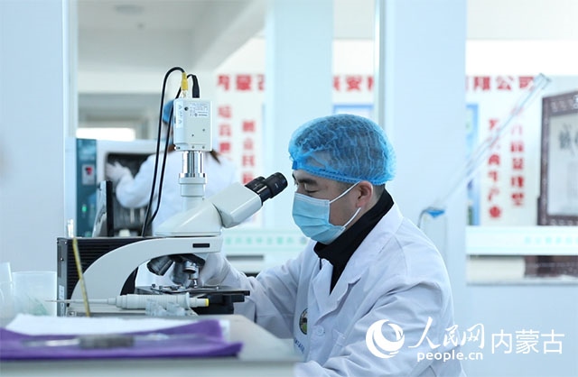 內(nèi)蒙古中農(nóng)興安種?？萍加邢薰韭鋺艨朴抑衅?，為肉牛產(chǎn)業(yè)發(fā)展提供了優(yōu)質(zhì)的種源保障。白俊華攝