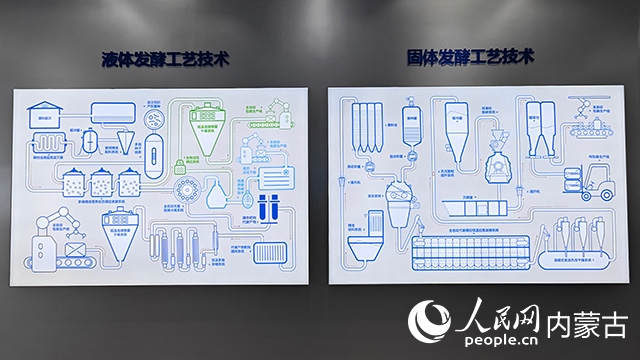 科拓生物工藝技術(shù)展示。人民網(wǎng)記者 張雪冬攝