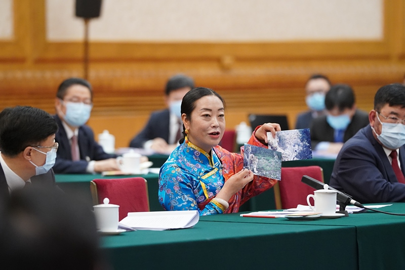 2021年3月7日，習近平總書記在參加十三屆全國人大四次會議青海代表團審議時，全國人大代表孔慶菊在會上展示了兩張照片，上面分別是祁連山地區(qū)多年不見蹤跡的雪豹和荒漠貓。