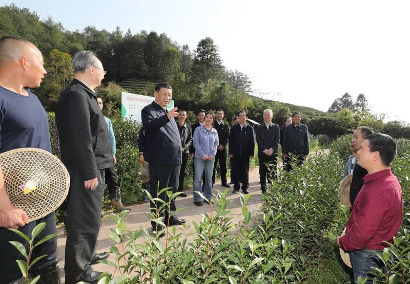 2021年3月22日，習(xí)近平總書(shū)記在福建南平武夷山市星村鎮(zhèn)燕子窠生態(tài)茶園，同科技特派員、茶農(nóng)親切交流，了解當(dāng)?shù)夭璁a(chǎn)業(yè)發(fā)展情況。