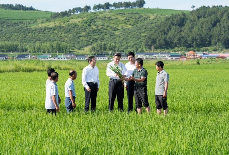 2015年7月16日，習(xí)近平總書(shū)記在吉林延邊州光東村稻田同村民和農(nóng)技人員交流。