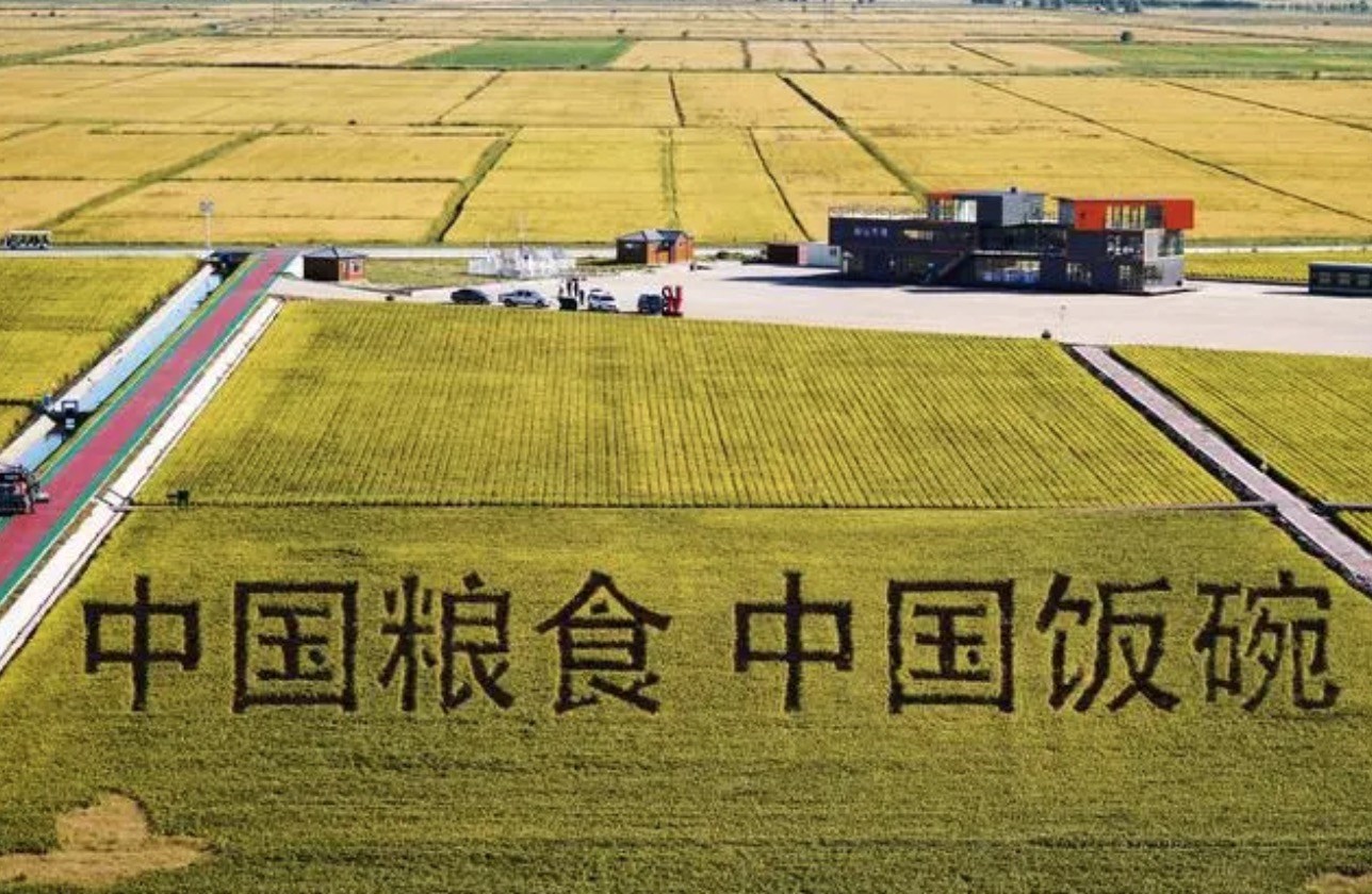 2022年9月2日，黑龍江省富錦市萬(wàn)畝水稻科技示范園內(nèi)的稻田畫(huà)。