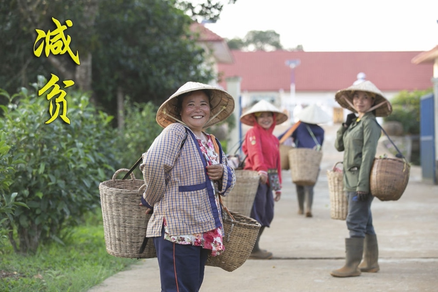 村民到老撾南部波羅芬高原上的36莊園茶廠售賣(mài)茶葉（2022年3月25日攝）。中資公司老撾36莊園有限公司近年來(lái)在老撾南部高原開(kāi)發(fā)當(dāng)?shù)毓挪铇?shù)資源，以中國(guó)工藝制茶，依靠茶產(chǎn)業(yè)帶動(dòng)當(dāng)?shù)匕傩彰撠氈赂弧? width=