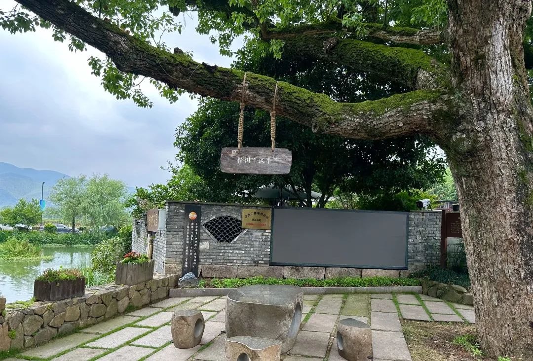 浙江省杭州市余杭區(qū)小古城村的“樟樹下議事”木制字牌。靜玄 攝