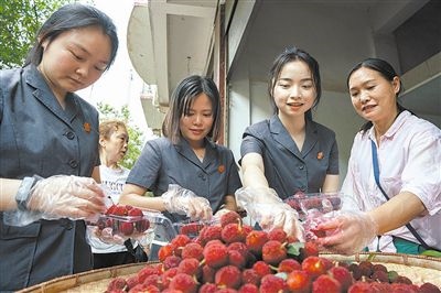 志愿者和村民一起將摘下的楊梅裝進(jìn)食品盒里。