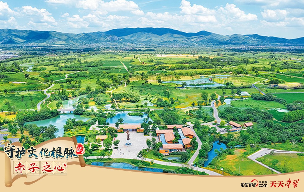 圖為2021年7月拍攝的良渚古城遺址公園。