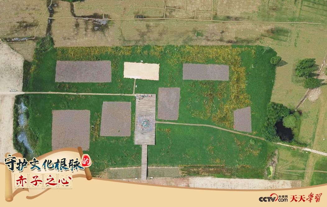 2019年6月23日無(wú)人機(jī)拍攝的良渚國(guó)家考古遺址公園的宮殿區(qū)。