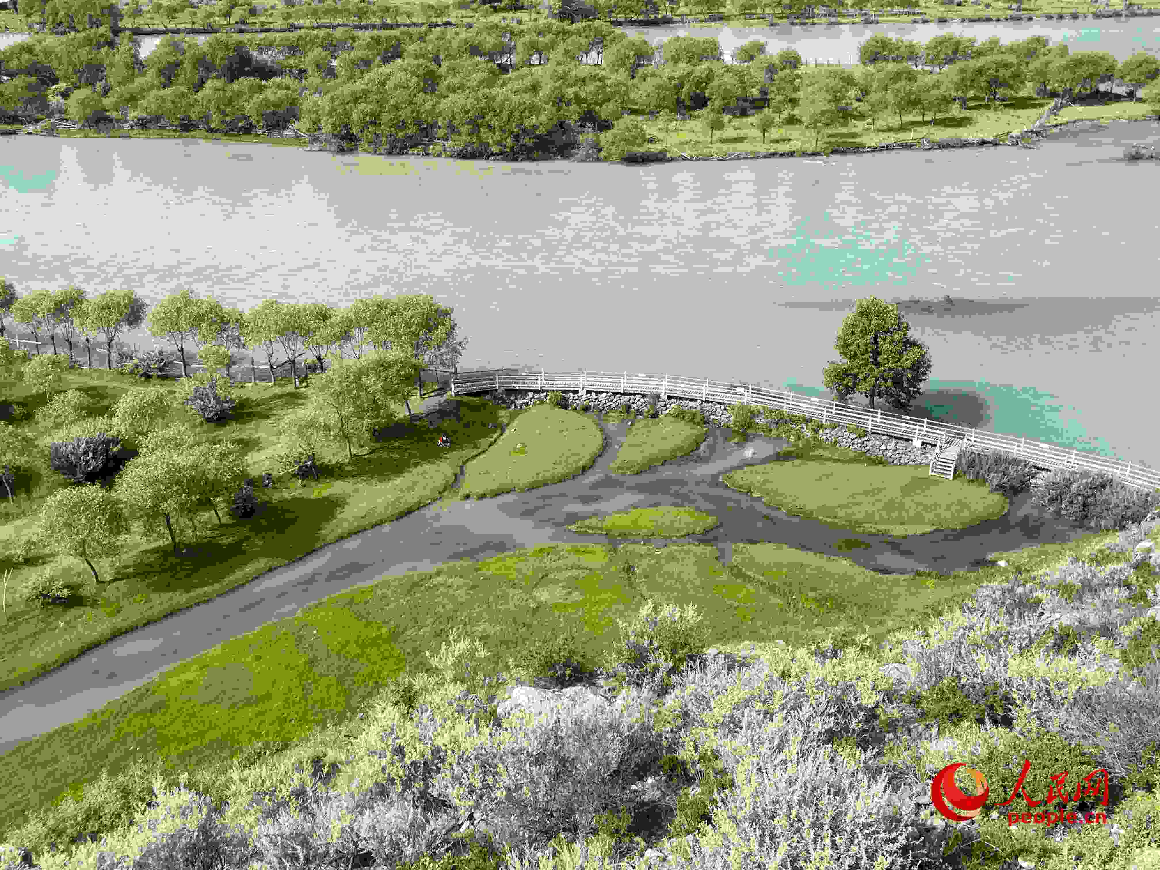 夏日的雅尼國家濕地公園生機盎然，如詩如畫。人民網(wǎng) 周靜圓攝