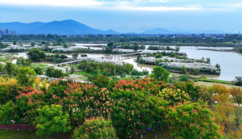 2022年10月11日拍攝的天漢濕地公園景色。新華社發(fā)（宋曉麗 攝）