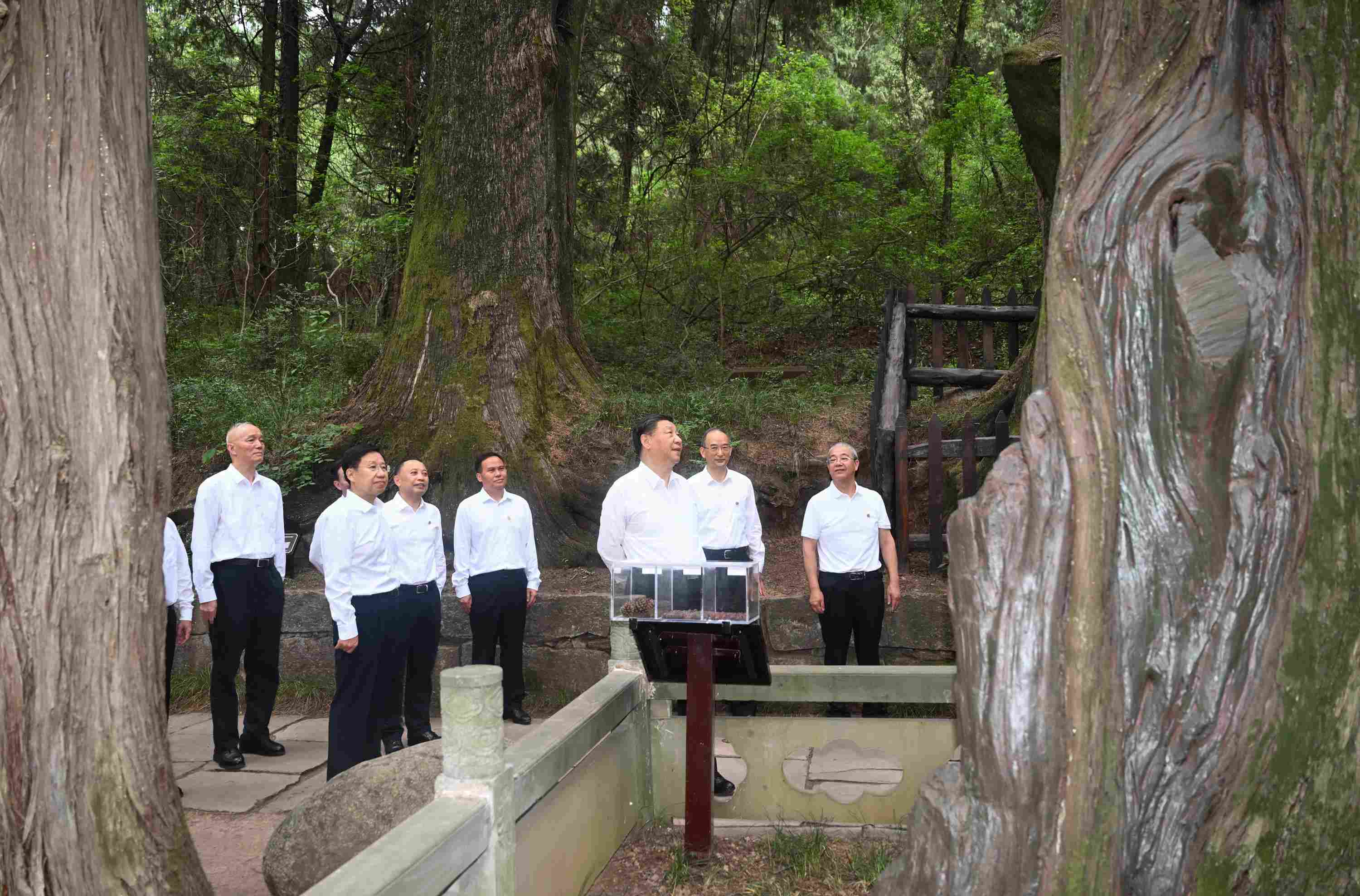 △2023年7月25日，習(xí)近平總書記在四川省廣元市考察了翠云廊古蜀道，了解當(dāng)?shù)赝七M歷史文化傳承、加強生態(tài)文明建設(shè)等情況。