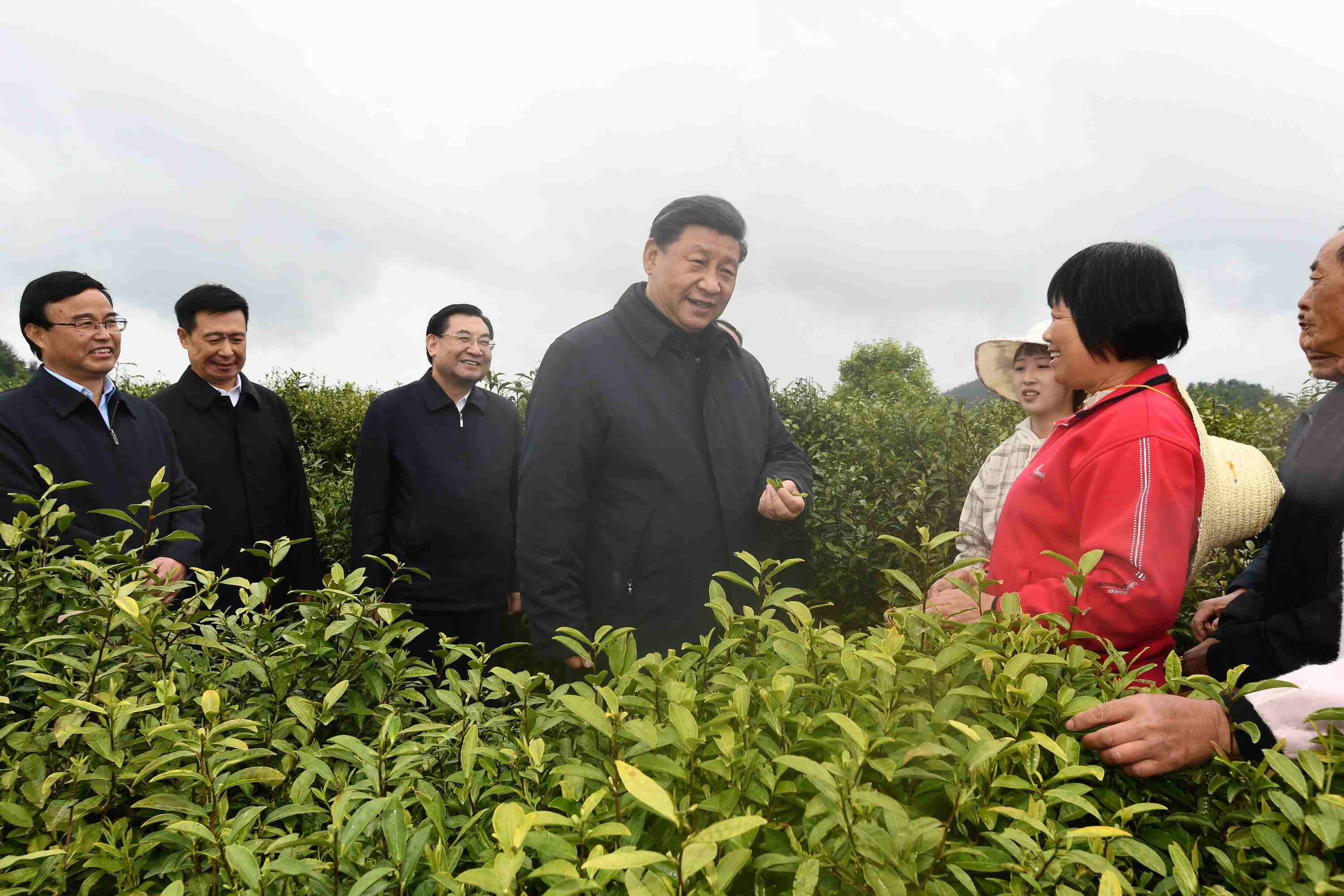 4月20日至23日，中共中央總書記、國家主席、中央軍委主席習(xí)近平在陜西考察。這是4月21日，習(xí)近平在安康市平利縣老縣鎮(zhèn)蔣家坪村女媧鳳凰茶業(yè)現(xiàn)代示范園區(qū)，同茶農(nóng)們親切交談。