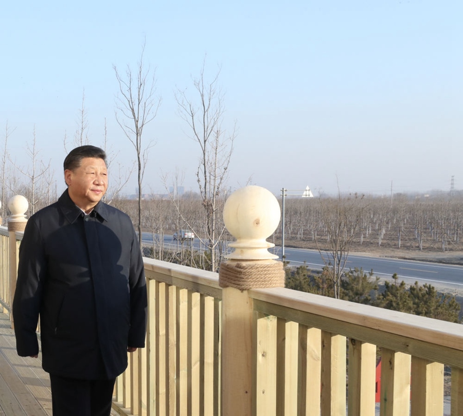 2019年1月16日，習近平在河北雄安新區(qū)考察調(diào)研。在“千年秀林”大清河片林一區(qū)造林區(qū)域，習近平登上秀林驛站二層平臺遠眺林區(qū)全貌。