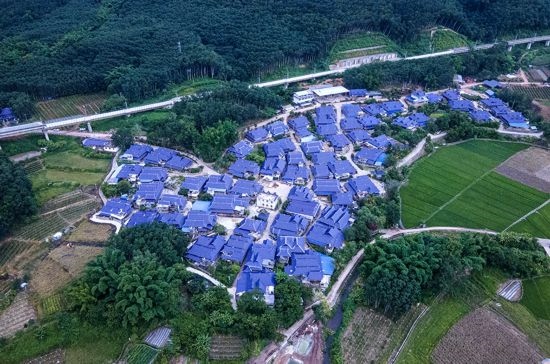 磨憨鎮(zhèn)曼莊村大龍哈小組現(xiàn)代化邊境幸福村新貌。人民網(wǎng)記者 符皓攝