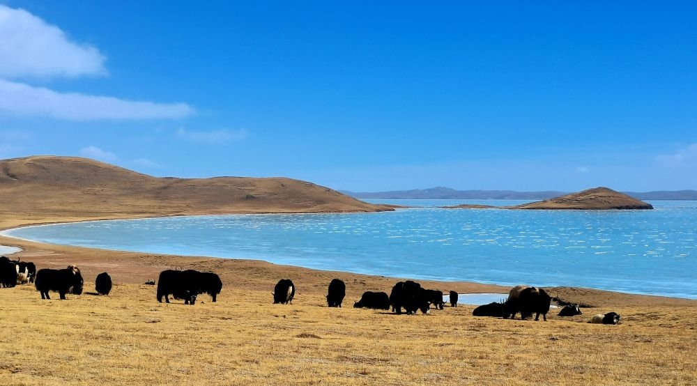 在三江源國家公園黃河源園區(qū)拍攝的扎陵湖風(fēng)光（2022年3月12日攝）。新華社記者 呂雪莉 攝