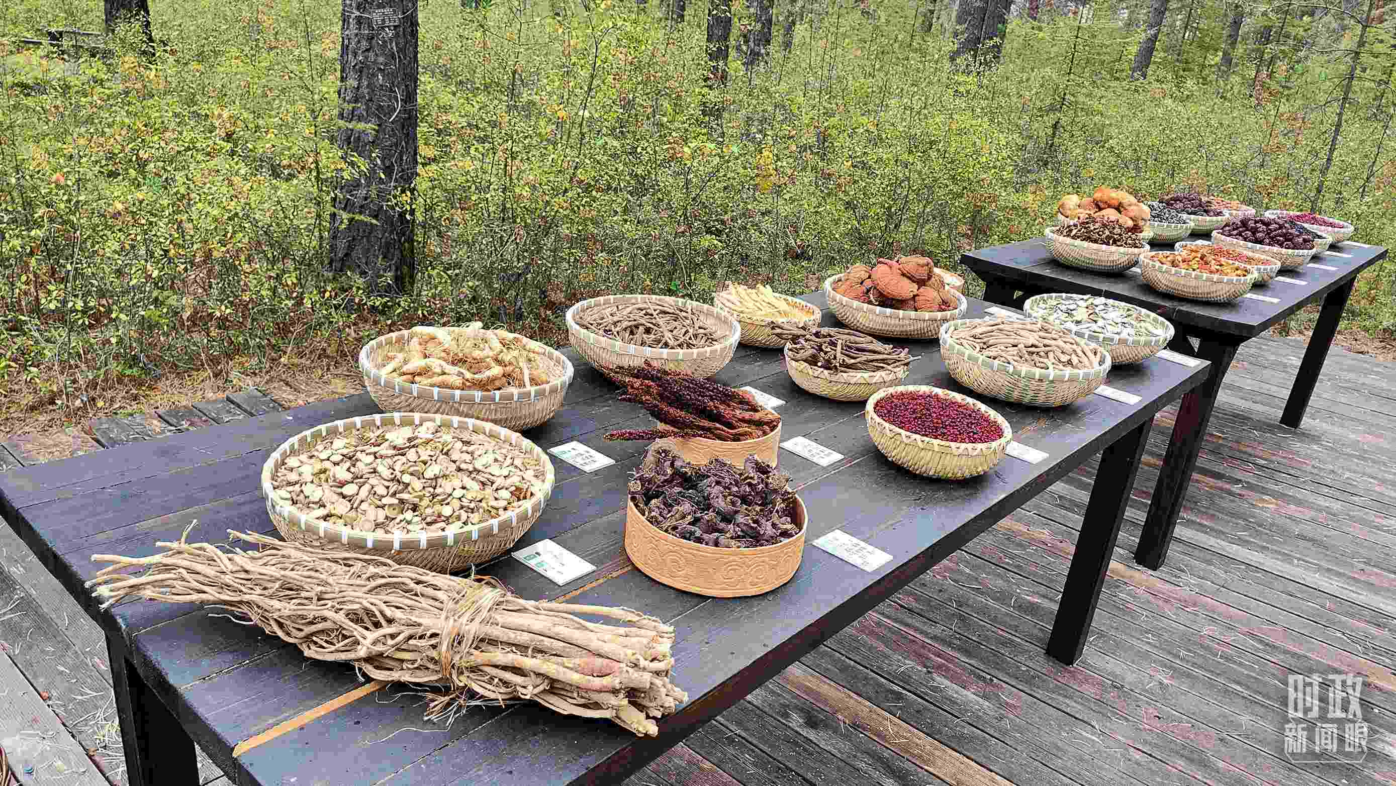 △林場里的食用菌、林果等特產(chǎn)。（總臺央視記者楊立峰拍攝）