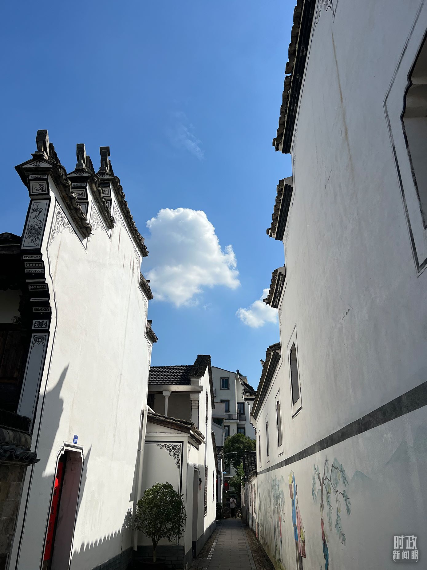 △浙江省金華市義烏市后宅街道李祖村。（總臺(tái)央視記者李煒拍攝）