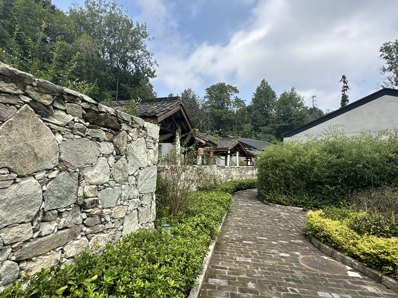 眾多民宿坐落于夫子山山麓。人民網(wǎng) 王紹紹攝