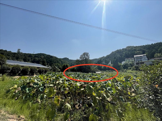 曾經(jīng)的圣水園所在地。 人民網(wǎng)記者 楊喬攝