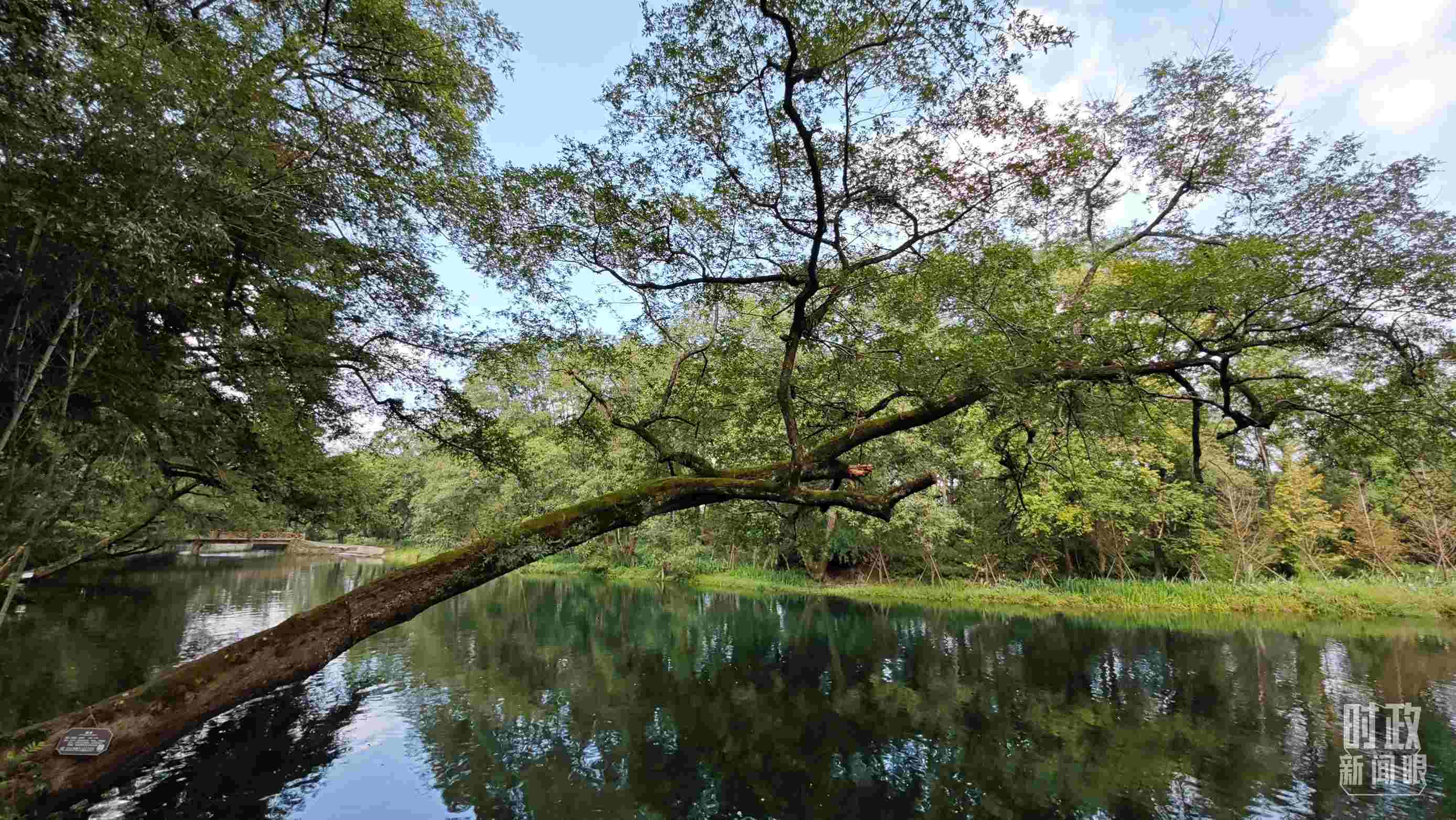 △饒河源國家濕地公園。（總臺央視記者郁振一拍攝）