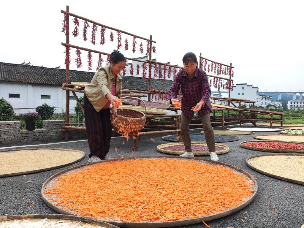 近日，江西省上饒市婺源縣秋口鎮(zhèn)王村的村民正在晾曬農(nóng)作物。新華社記者 劉佳敏 攝