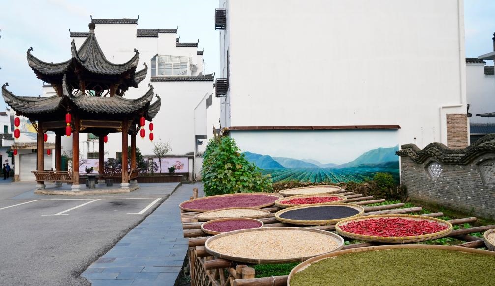 近日拍攝的江西省上饒市婺源縣秋口鎮(zhèn)王村石門自然村曬秋場(chǎng)景。新華社記者 胡晨歡 攝