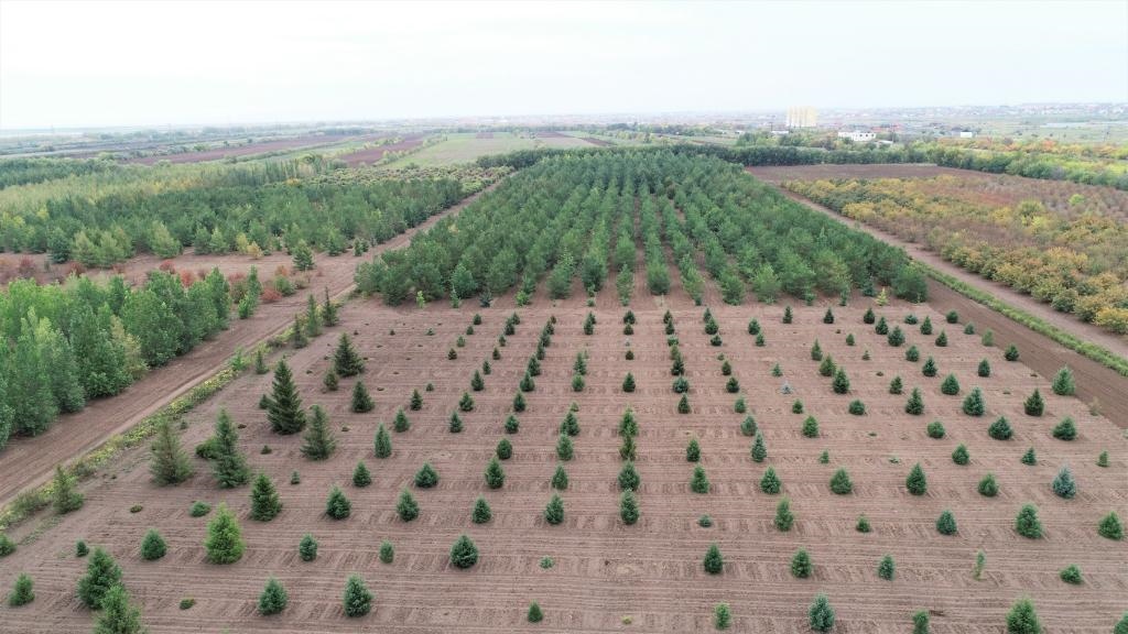 這是2023年9月11日在哈薩克斯坦首都阿斯塔納拍攝的一處植物種質資源苗圃（無人機照片）。新華社發(fā)（法爾哈特·圖克諾夫 攝）
