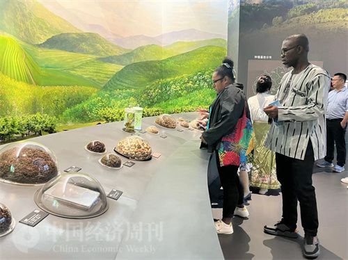  （在中國藥都中醫(yī)藥博物館，外媒記者了解中醫(yī)藥發(fā)展史。中國經(jīng)濟(jì)周刊記者 郭志強(qiáng) 攝）