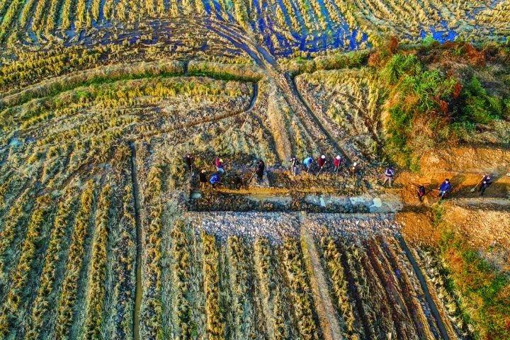 良渚遺址考古發(fā)掘現(xiàn)場。