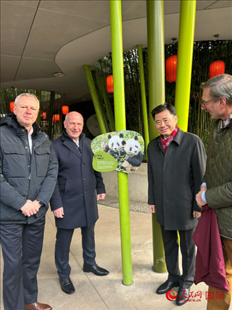 中國駐德國大使吳懇（右二）、柏林市長韋格納（左二）、動物園園長克尼里姆（右一）和監(jiān)事會主席布魯克曼（左一）共同為“夢想”“夢圓”大熊貓紀(jì)念牌揭幕。人民網(wǎng)記者 徐馨攝