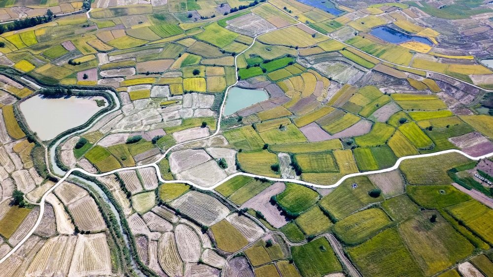 安徽省鳳陽縣小崗村的田野景象（2018年9月27日攝，無人機(jī)照片）。新華社記者 張端 攝