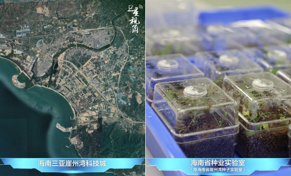 位于三亞崖州灣科技城的海南省種業(yè)實(shí)驗(yàn)室（原海南省崖州灣種子實(shí)驗(yàn)室）將形成輻射全國和“一帶一路”沿線國家的種子科學(xué)技術(shù)創(chuàng)新中心。