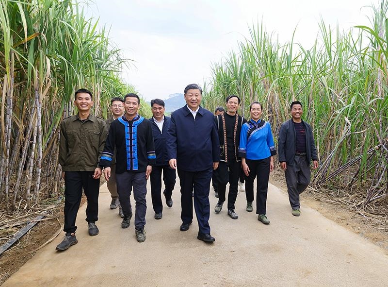 2023年12月14日，習(xí)近平總書記在廣西來(lái)賓市國(guó)家現(xiàn)代農(nóng)業(yè)產(chǎn)業(yè)園黃安優(yōu)質(zhì)“雙高”糖料蔗基地考察。