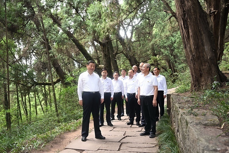 2023年7月25日，習(xí)近平總書記在四川廣元市劍閣縣翠云廊考察。新華社記者 謝環(huán)馳 攝