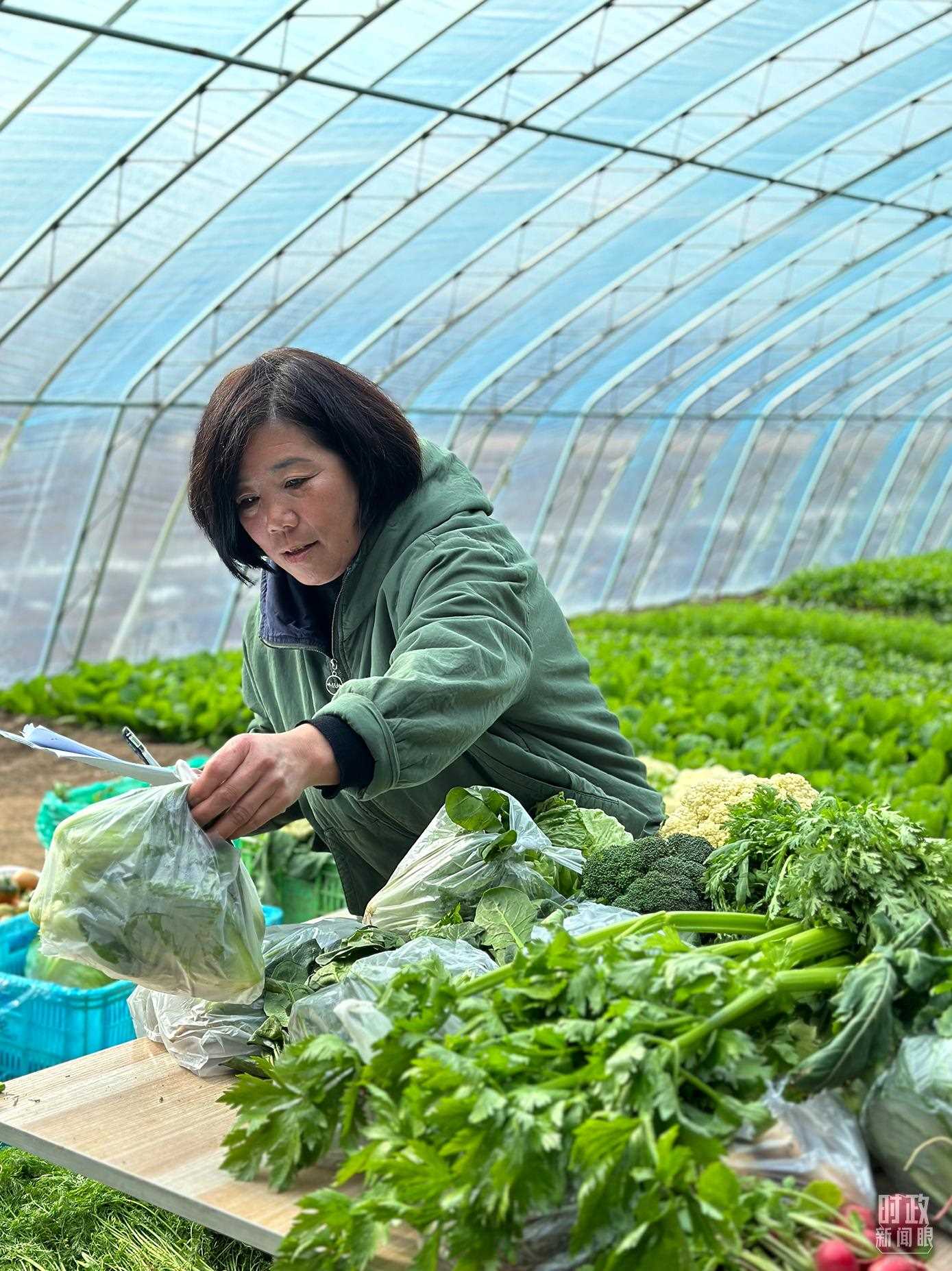 △第六埠村村民正在打包分裝蔬菜。（總臺央視記者盧心雨拍攝）