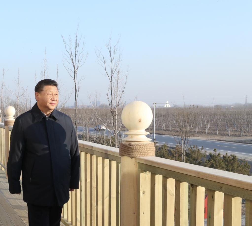 2019年1月16日，在河北雄安新區(qū)“千年秀林”大清河片林一區(qū)造林區(qū)域，習(xí)近平總書記登上秀林驛站二層平臺遠眺林區(qū)全貌。新華社記者 鞠鵬 攝