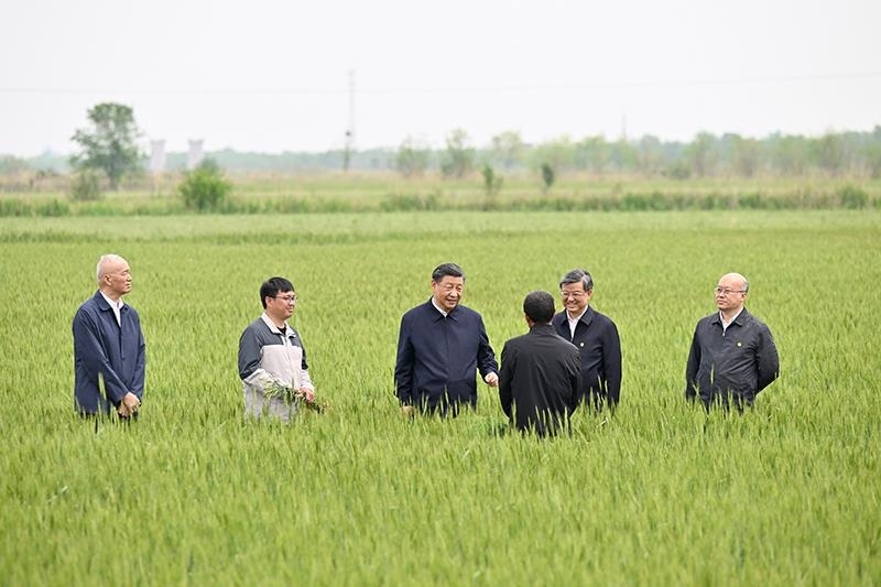 △2023年5月11日，習(xí)近平總書記在河北滄州黃驊市舊城鎮(zhèn)仙莊片區(qū)旱堿地麥田同種植戶、農(nóng)技專家親切交流。