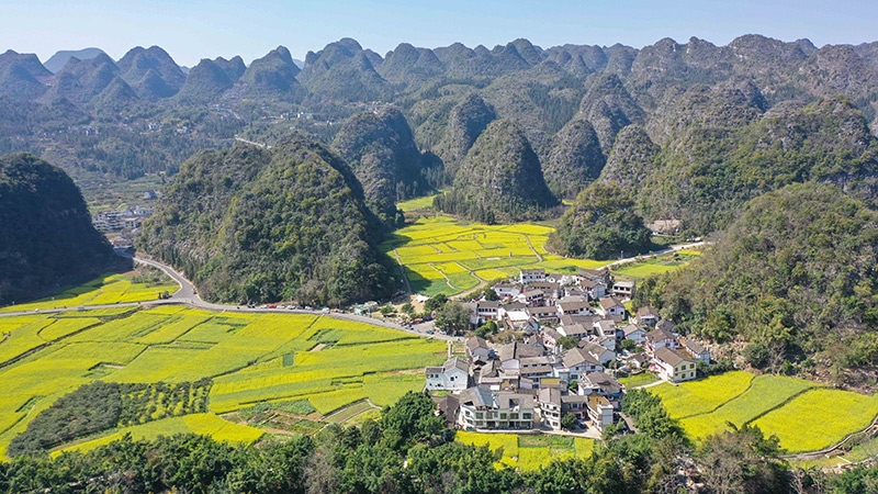 2024年2月17日，貴州省興義市萬峰林景區(qū)的油菜花海景色（無人機照片）。