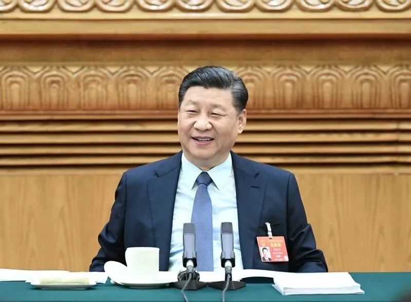 2019年3月8日，習(xí)近平參加十三屆全國(guó)人大二次會(huì)議河南代表團(tuán)的審議。新華社記者 謝環(huán)馳 攝
