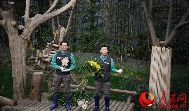 熊貓飼養(yǎng)員姜哲遠(yuǎn)和宋永寬向媒體介紹為“福寶”準(zhǔn)備的送別禮物。人民網(wǎng) 李帆攝
