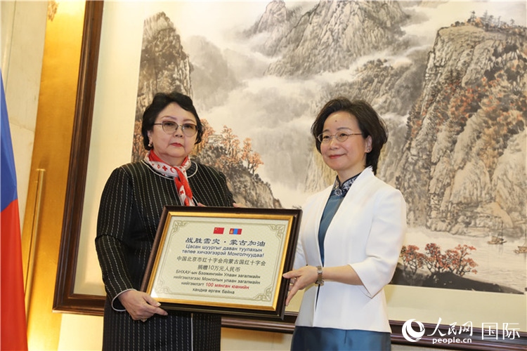 沈大使向?qū)殑跔柆敚ㄗ螅┟貢L轉(zhuǎn)交捐款。人民網(wǎng)記者 霍文攝