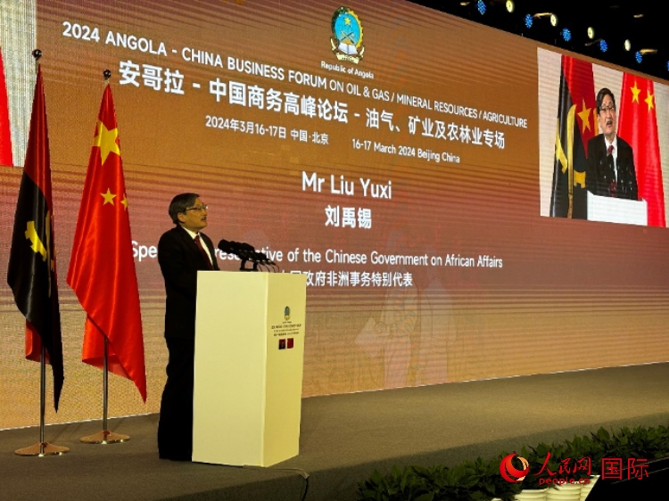 中國政府非洲事務(wù)特別代表劉禹錫。人民網(wǎng)記者 張榮攝